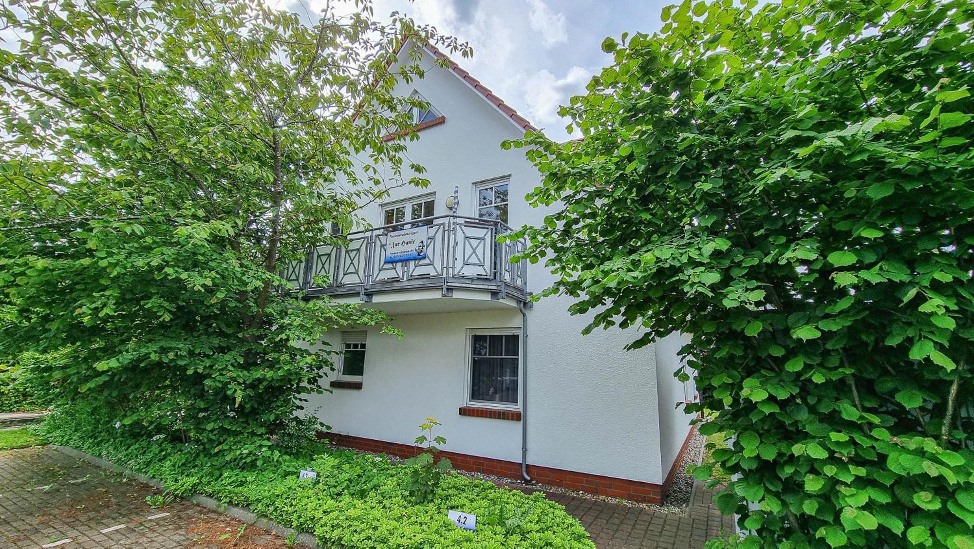 Zur Hanse Wohnung 1 3 - Lingnau Zingst Zewnętrze zdjęcie